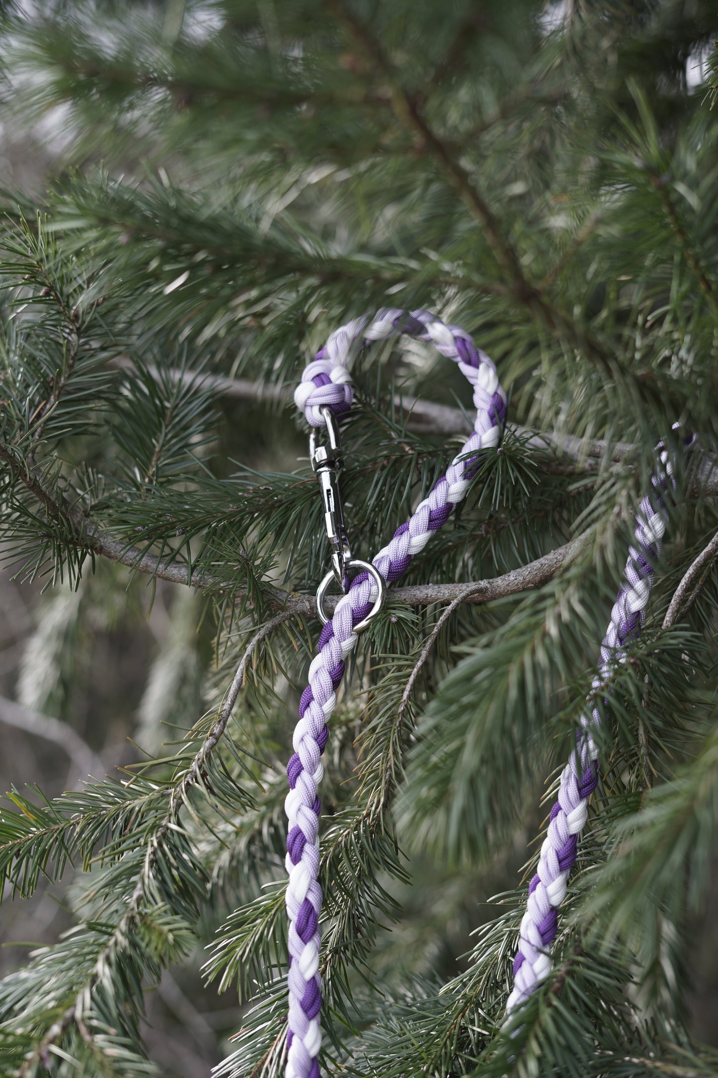 Laisse Paracorde 1m50 - Blanc, Magic Purple & Pearl Lilas