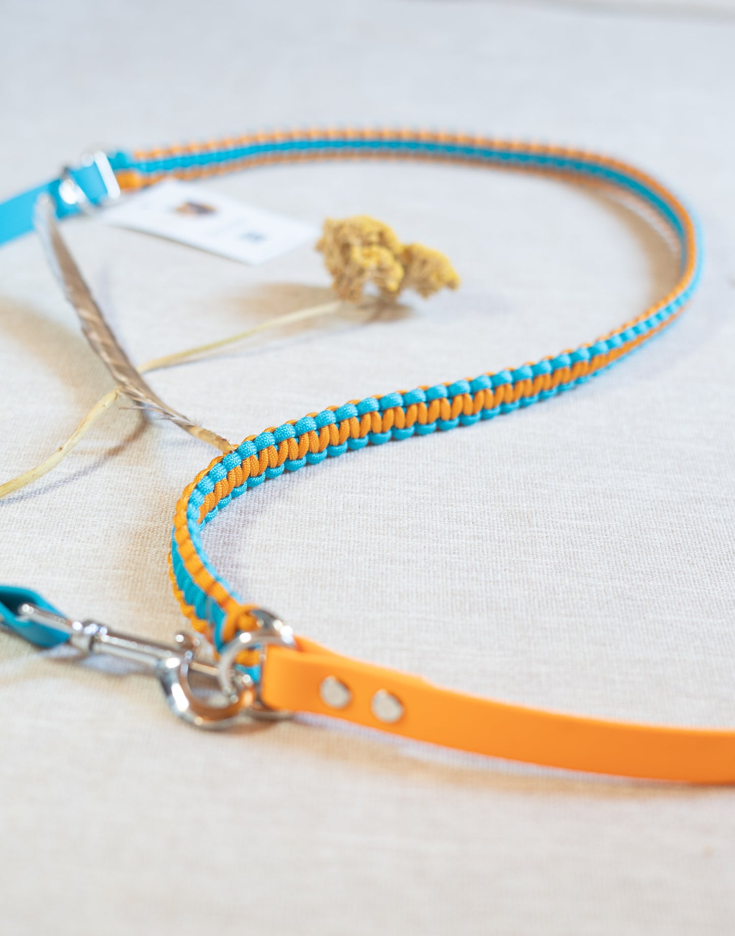Laisse 3 points - Cerulean & Royal Orange