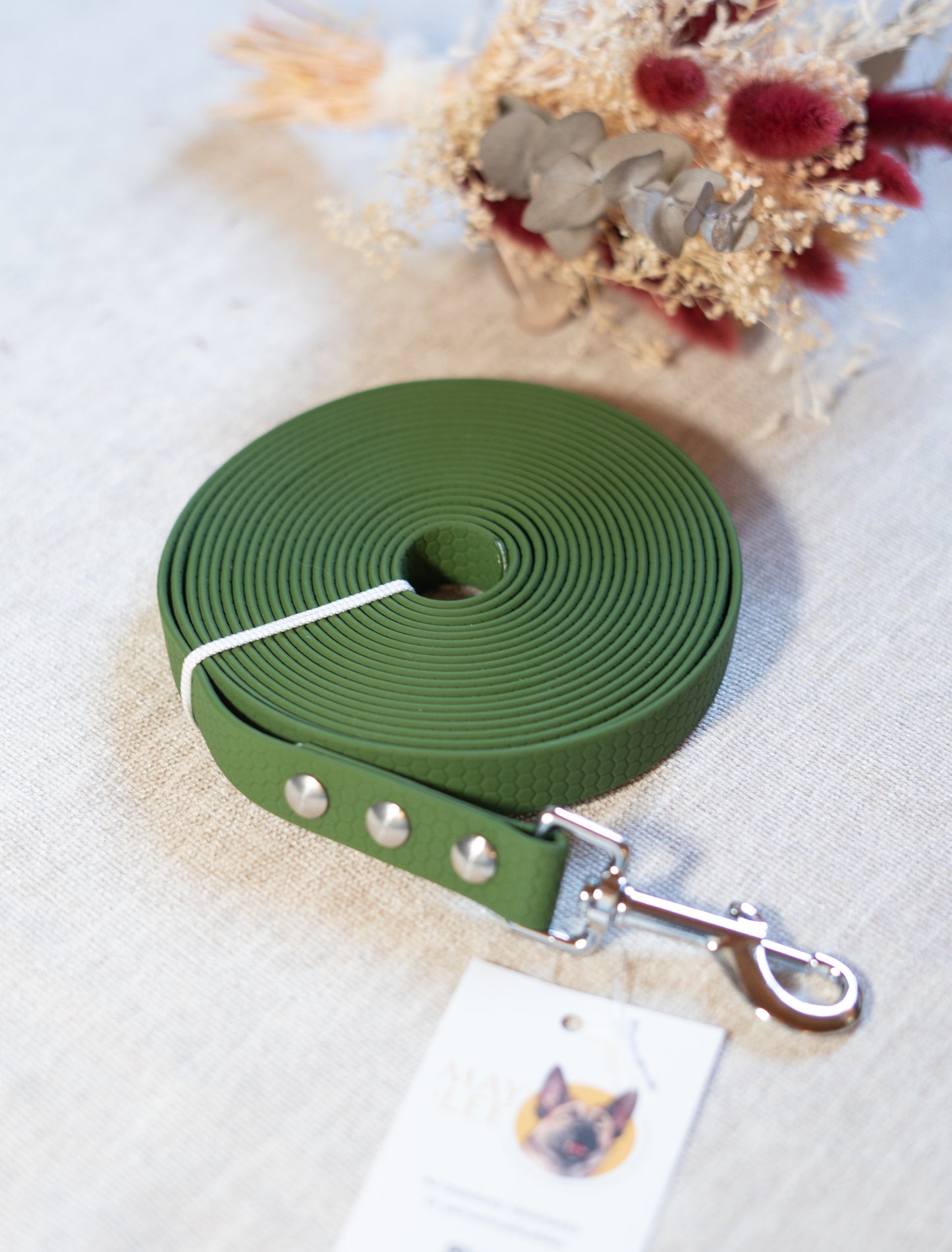 Longe de balade 5m - Sangle HEXA Vert Olive