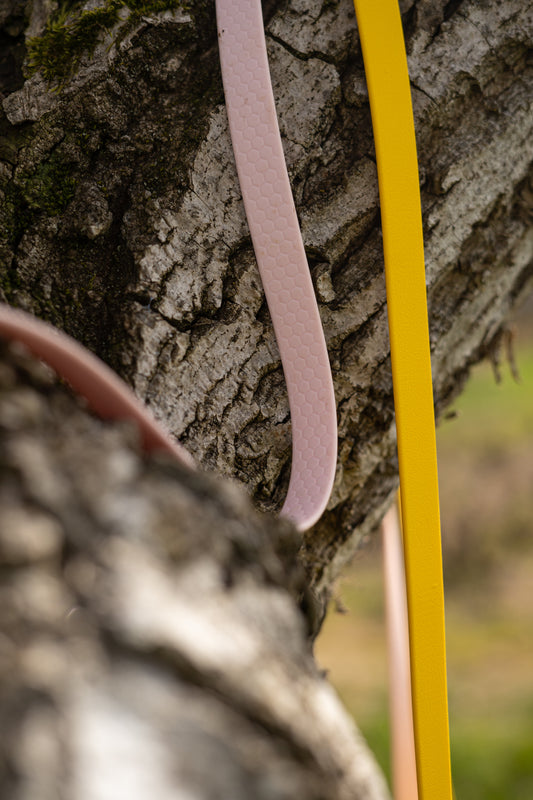 Longe pour chien : Biothane ou Hexa, quelle matière choisir pour vos balades ?