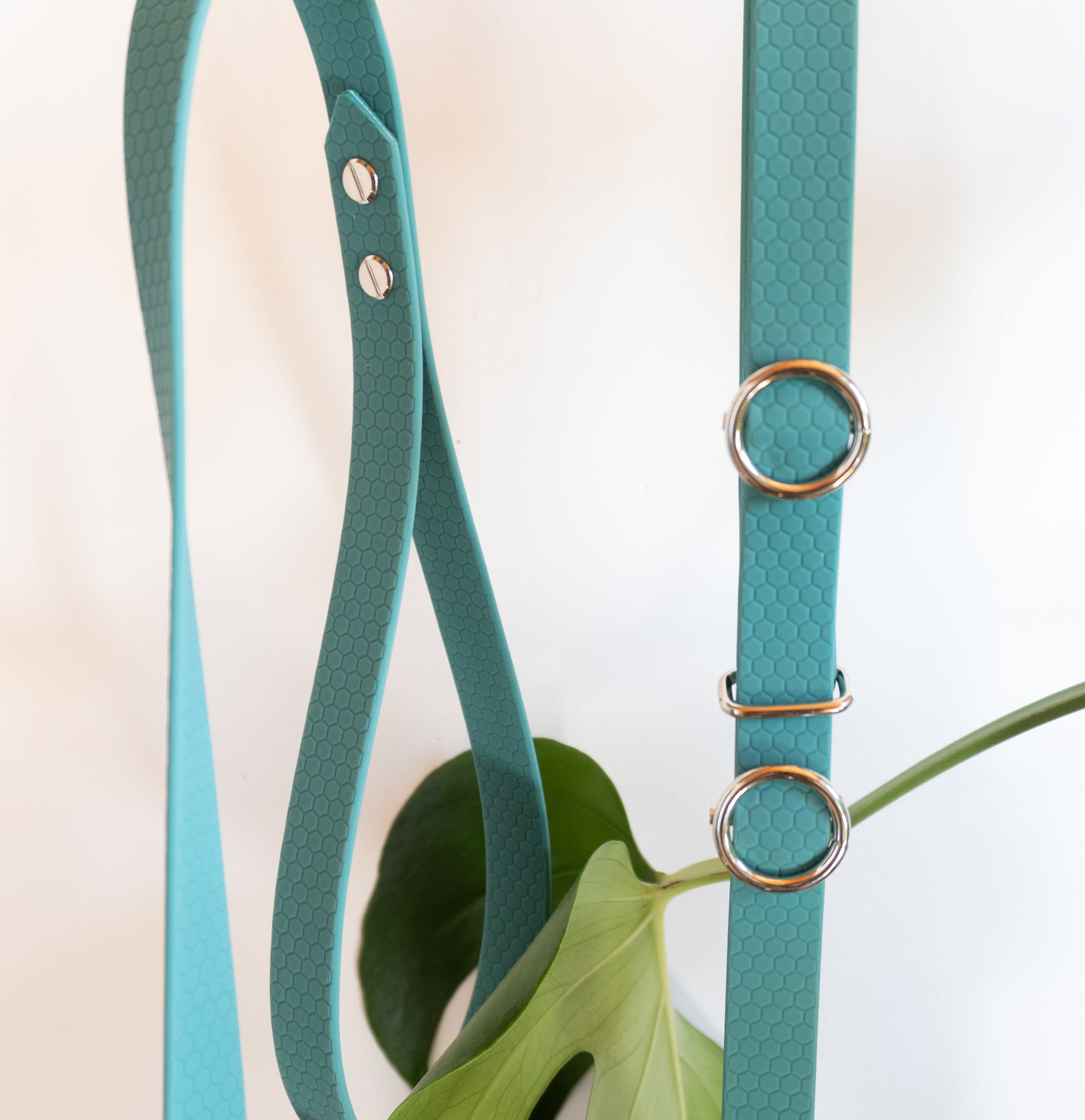 Laisse sans collier, anti étranglement pour balader son chien en ville, facile à mettre et à laver, texture hexa biothane 