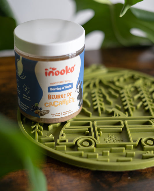 Pot de beurre de cacahuète naturel sur tapis de léchage vert pour chien 