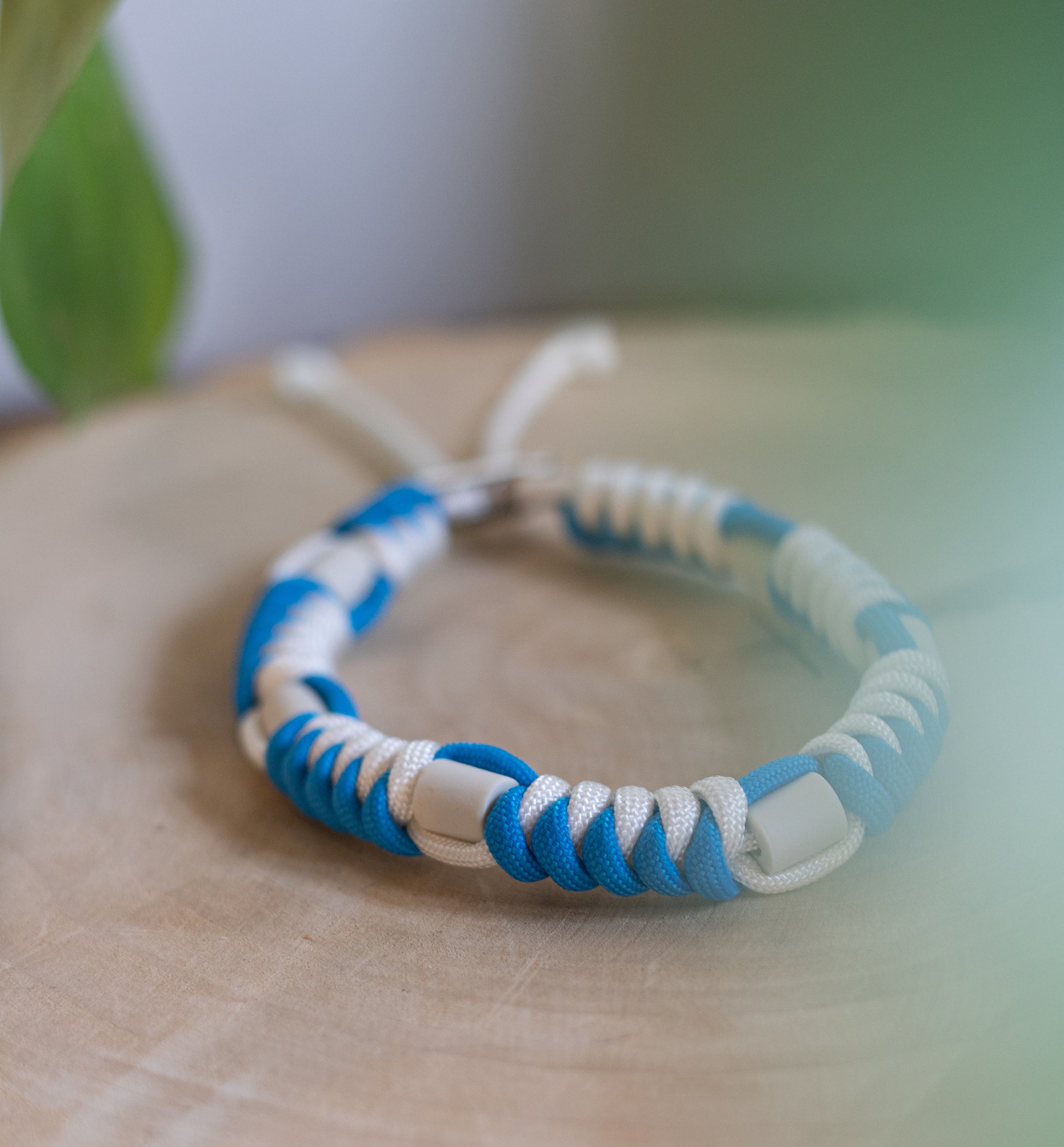 Collier anti-tiques pour chien tressé en paracorde bleu vif et blanc, présenté sur une rondelle de bois naturel. Zoom sur les perles en céramique EM insérées dans le tressage pour une protection antiparasitaire écologique. Un flou végétal au premier plan encadre le produit.