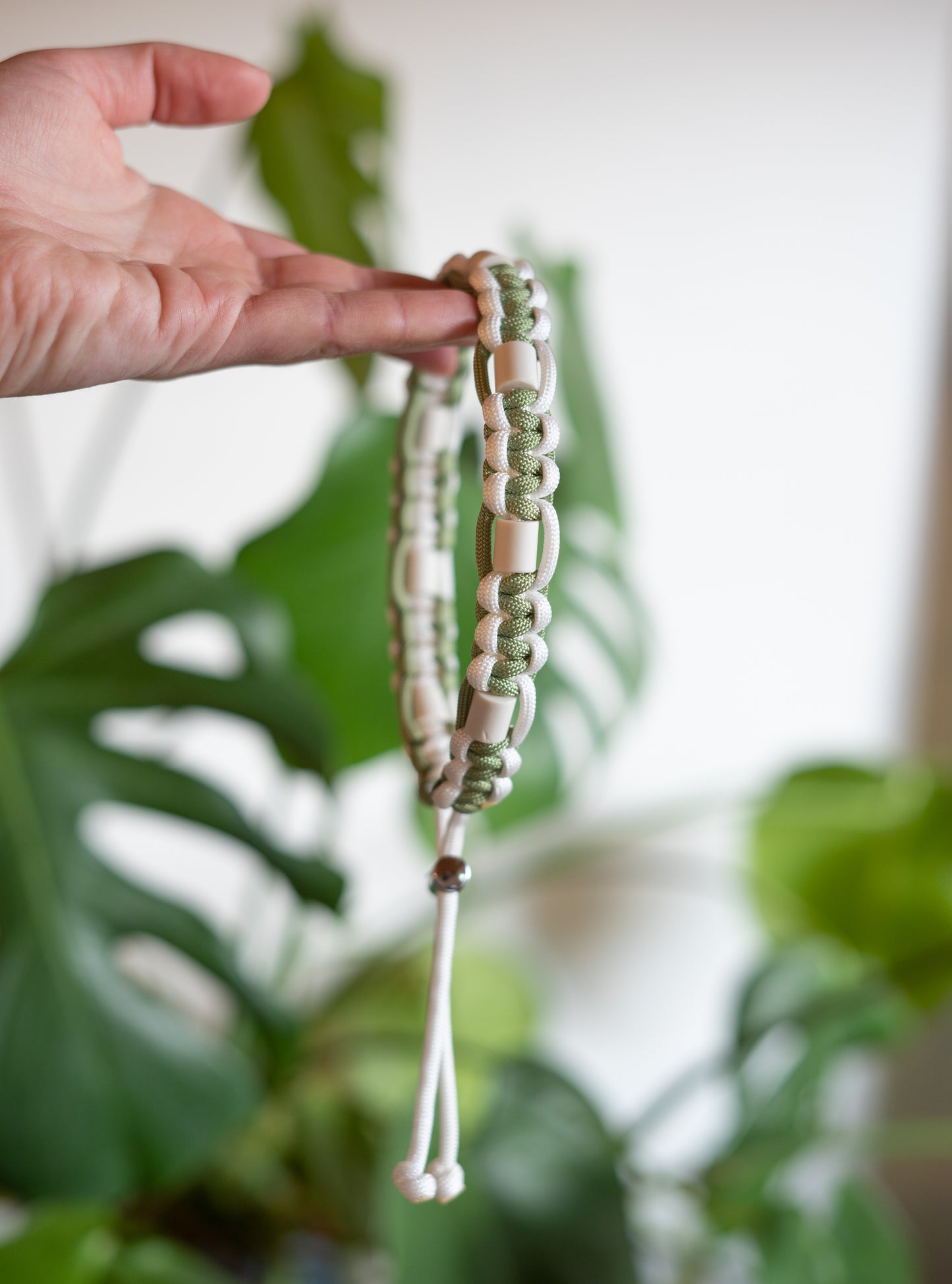 Main présentant un collier anti-tiques naturel pour chien, tressé en vert sauge et blanc. Le collier est suspendu verticalement, mettant en valeur la souplesse de la paracorde et l'alternance des perles en céramique EM. Arrière-plan flou avec une plante verte Monstera.