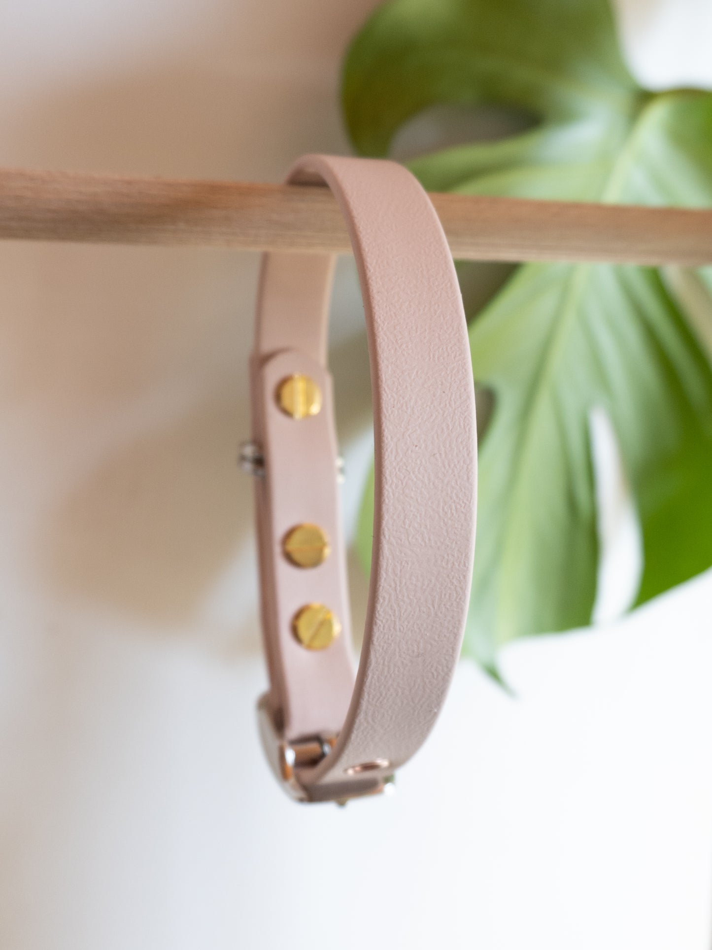 Collier chien simple et résistant en biothane, sur-mesure, chien mignon et stylé 