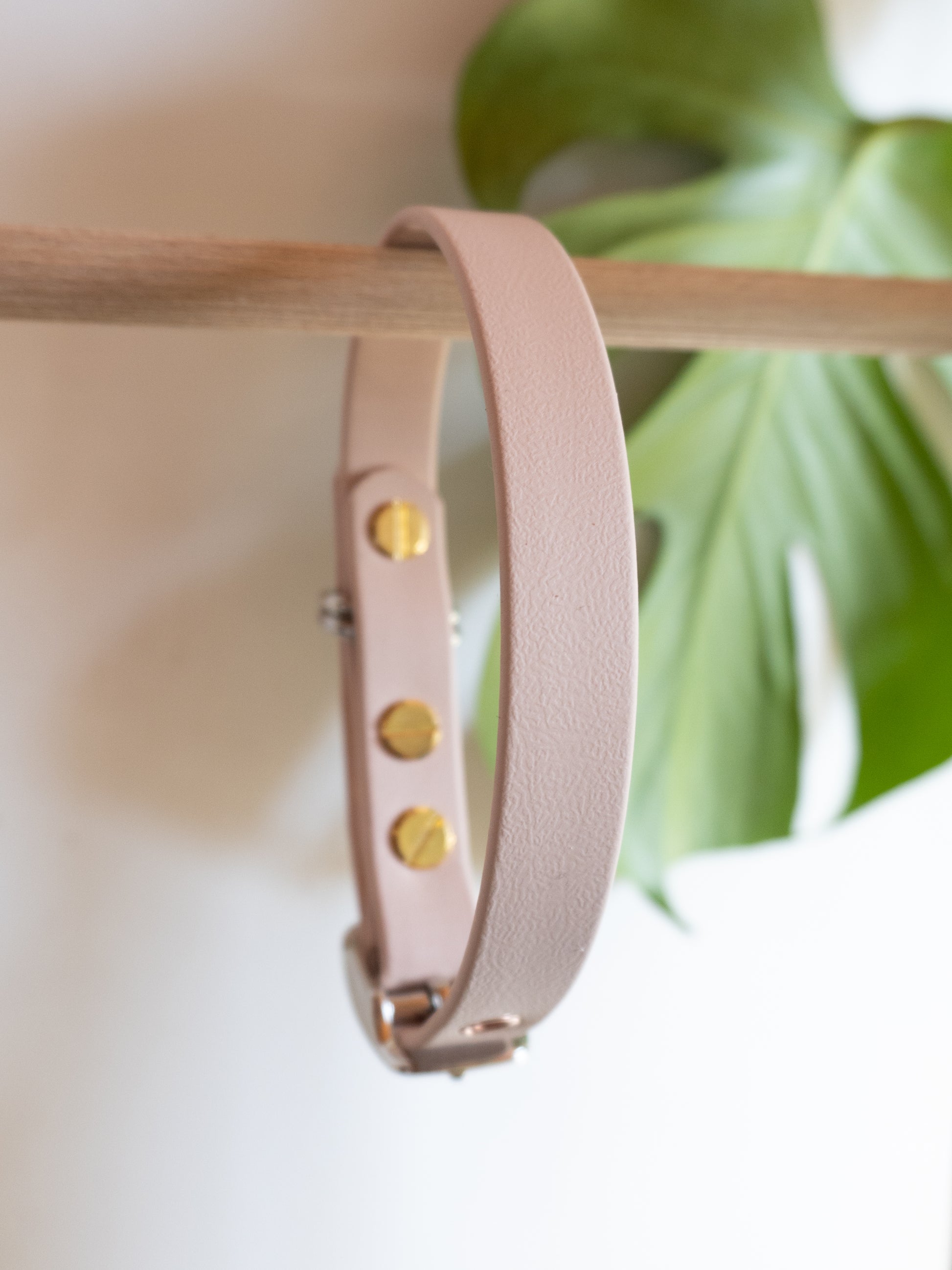 Collier chien simple et résistant en biothane, sur-mesure, chien mignon et stylé 
