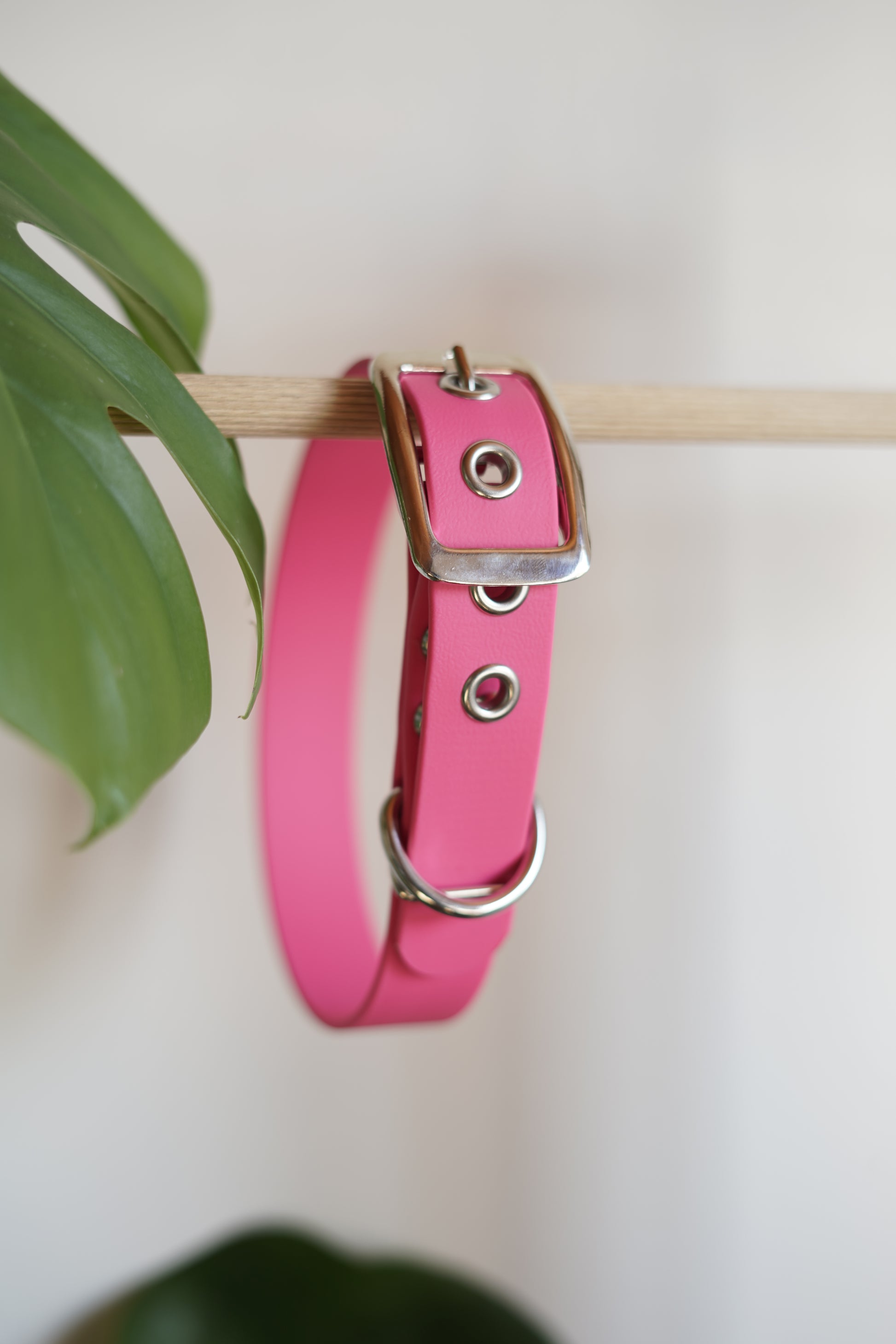 Accessoire pour chien couleur rose, élégant et solide, fait main en France
