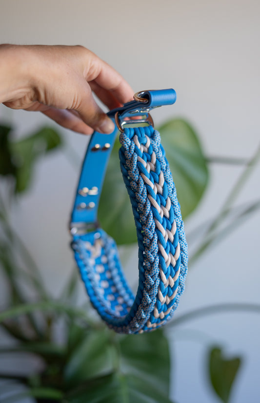 Accessoire robuste pour grandes races, chien costaud et sportif, attache martingale anti-étranglement parfait pour les poils longs