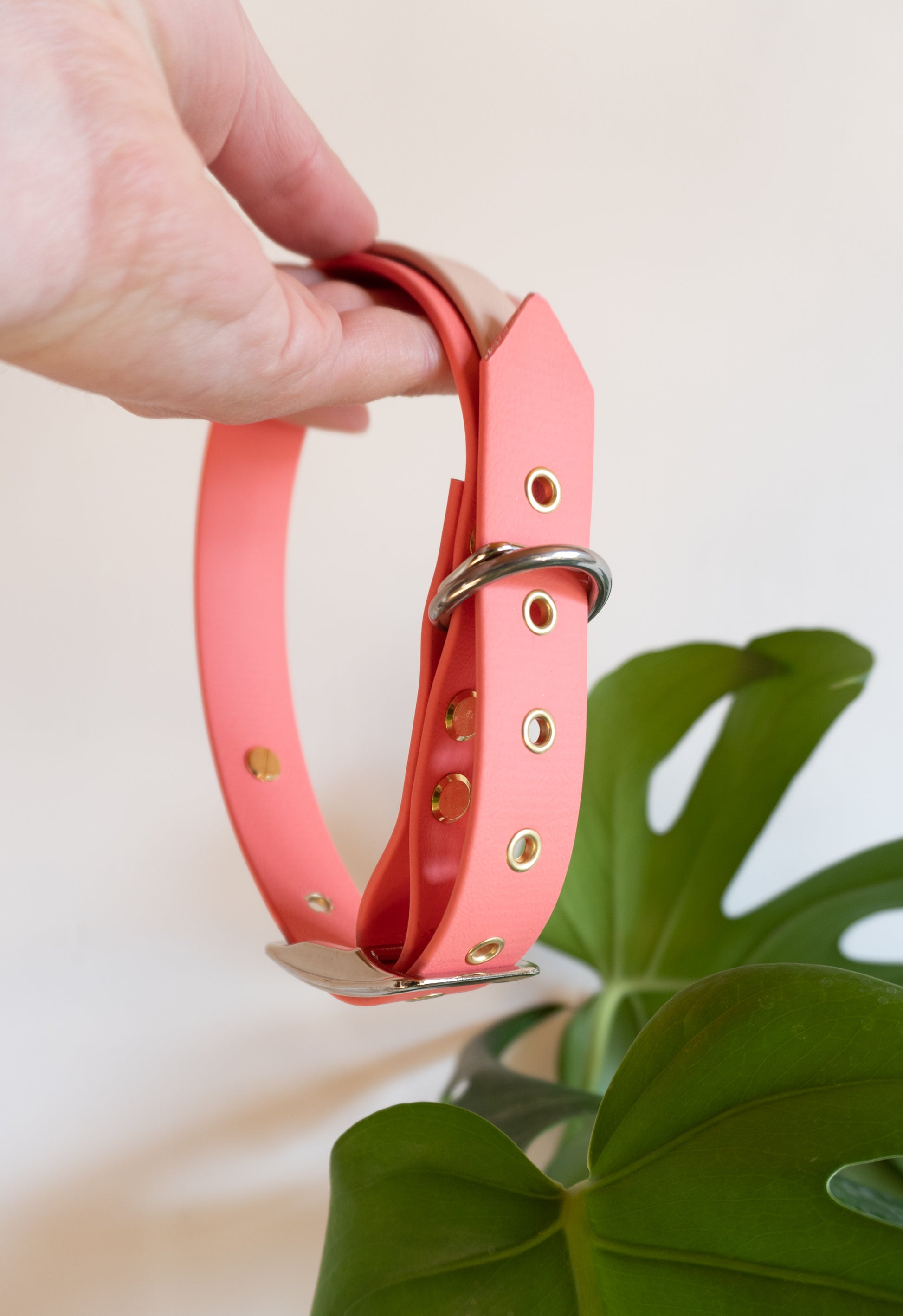 Accessoire en biothane incassable, fait main en France avec des matériaux de haute qualité 