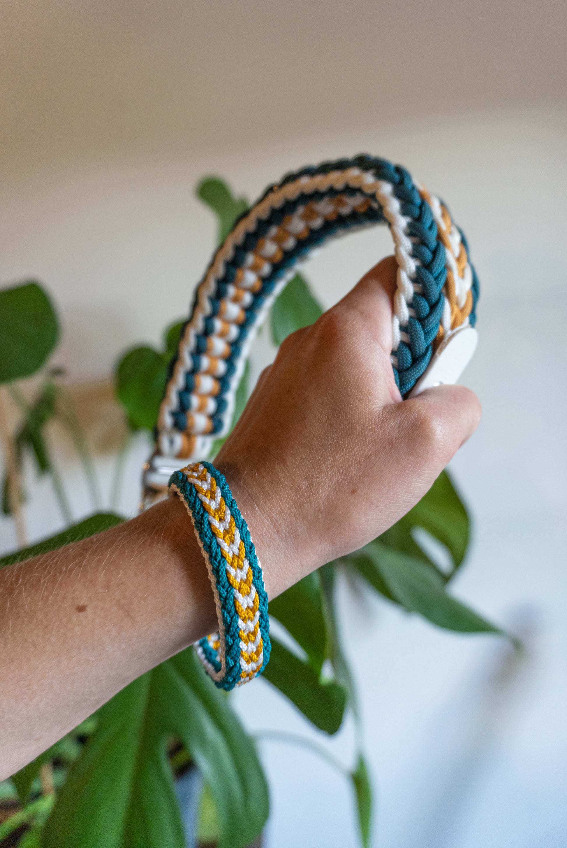 Joli ensemble dogmom dogdad en paracorde pour des balades avec style en toute sécurité 