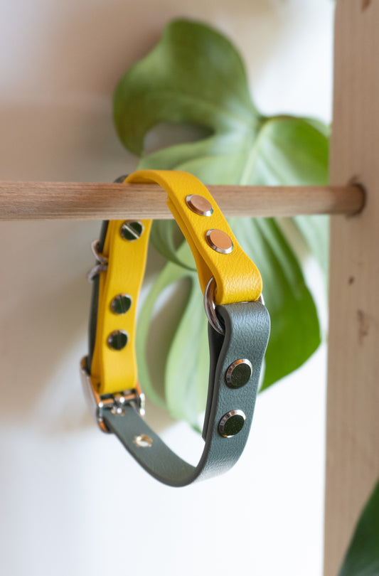 Collier biothane personnalisé pour petits chiens à la mode, accessoire incassable 