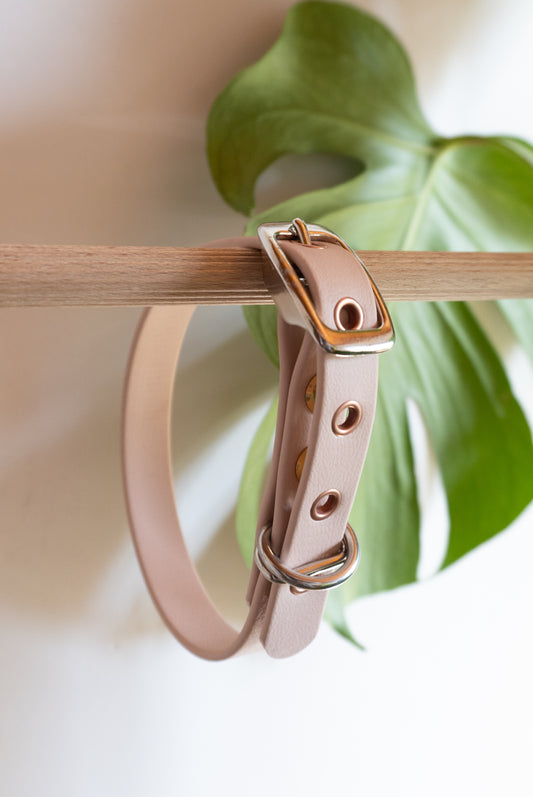 Mini collier de chien simple biothane, solide, facile à entretenir