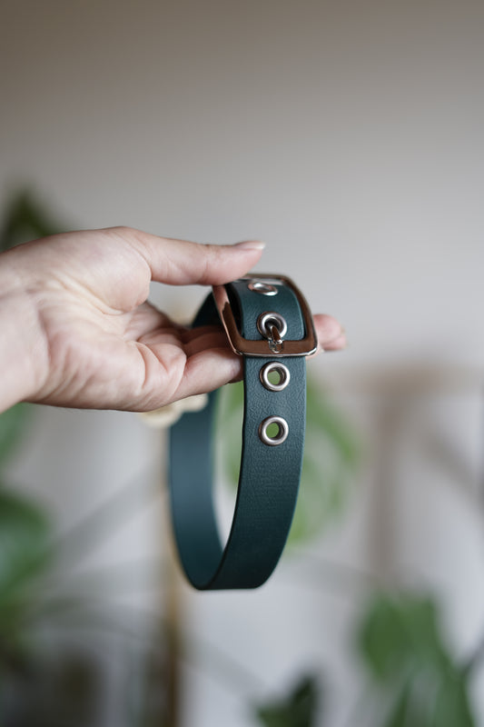 Accessoire en biothane pour grand chien costaud, fait main sur mesure 