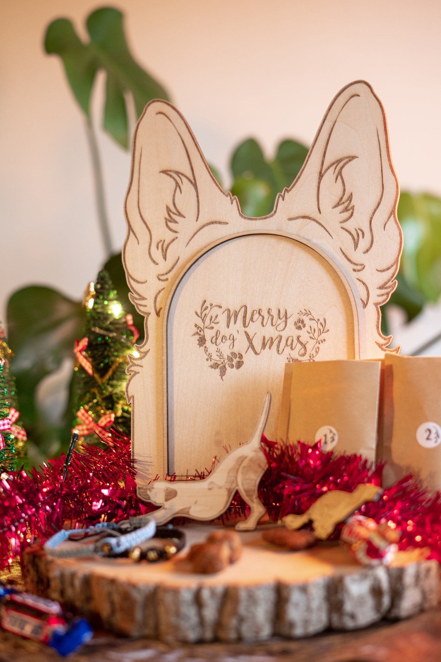 Calendrier de l'Avent Dog'Xmas