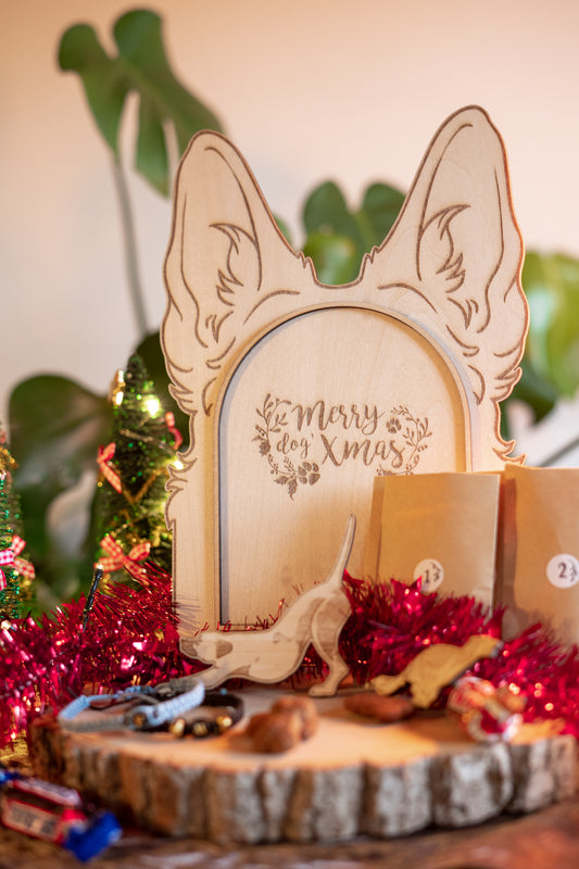 Calendrier de l'Avent Dog'Xmas