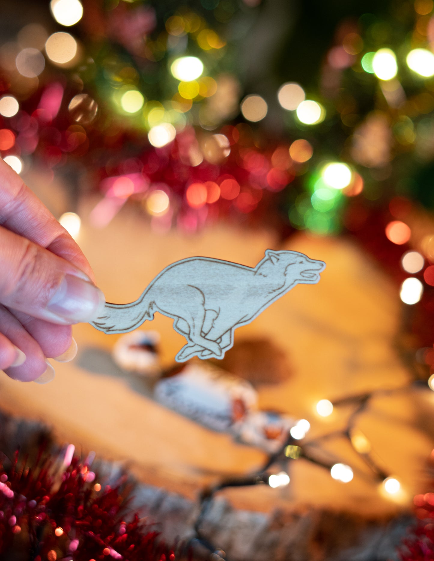 Calendrier de l'Avent Dog'Xmas