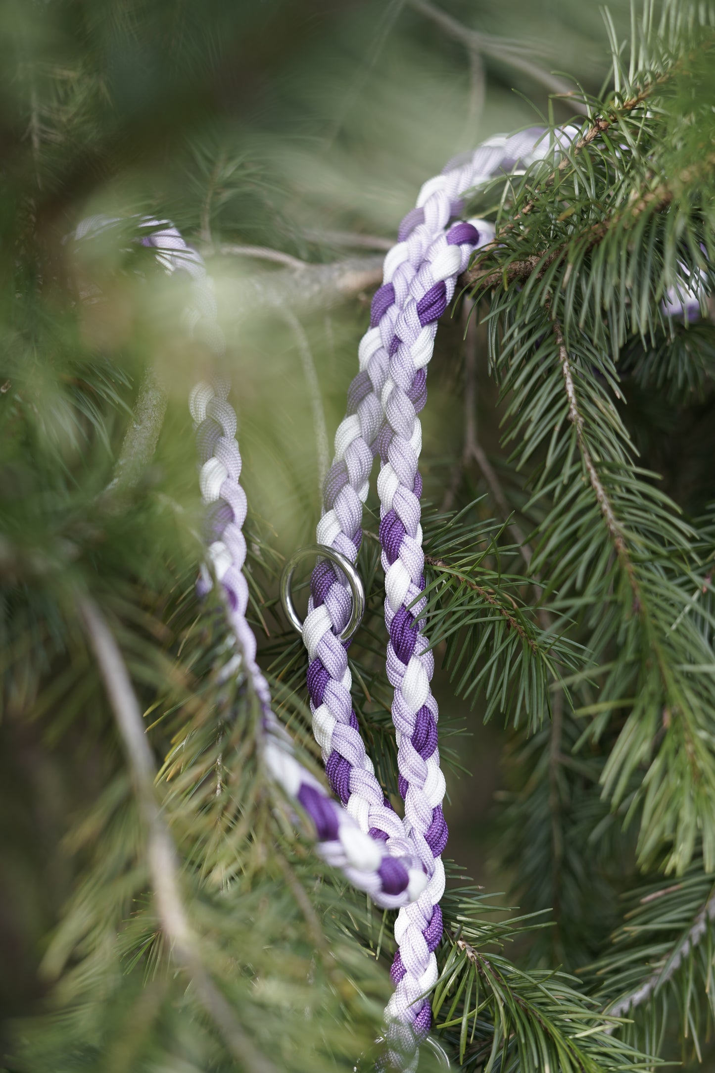 Laisse Paracorde 1m50 - Blanc, Magic Purple & Pearl Lilas