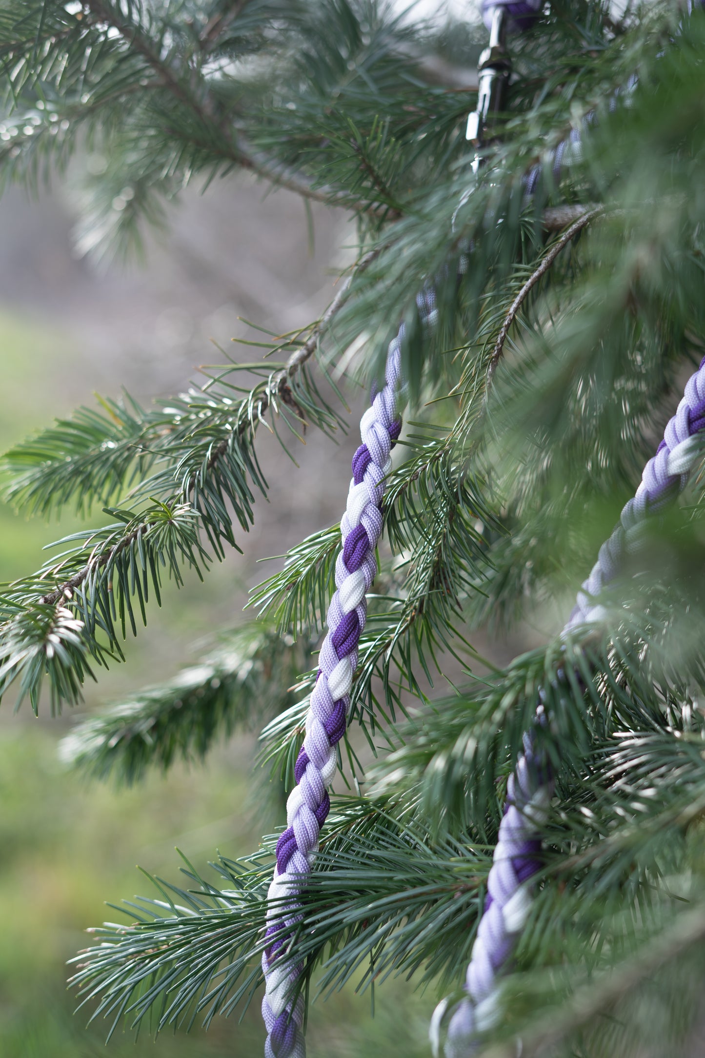 Laisse Paracorde 1m50 - Blanc, Magic Purple & Pearl Lilas