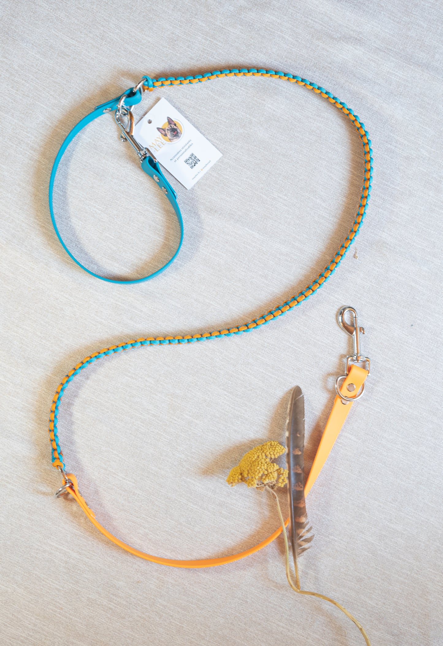 Laisse 3 points - Cerulean & Royal Orange