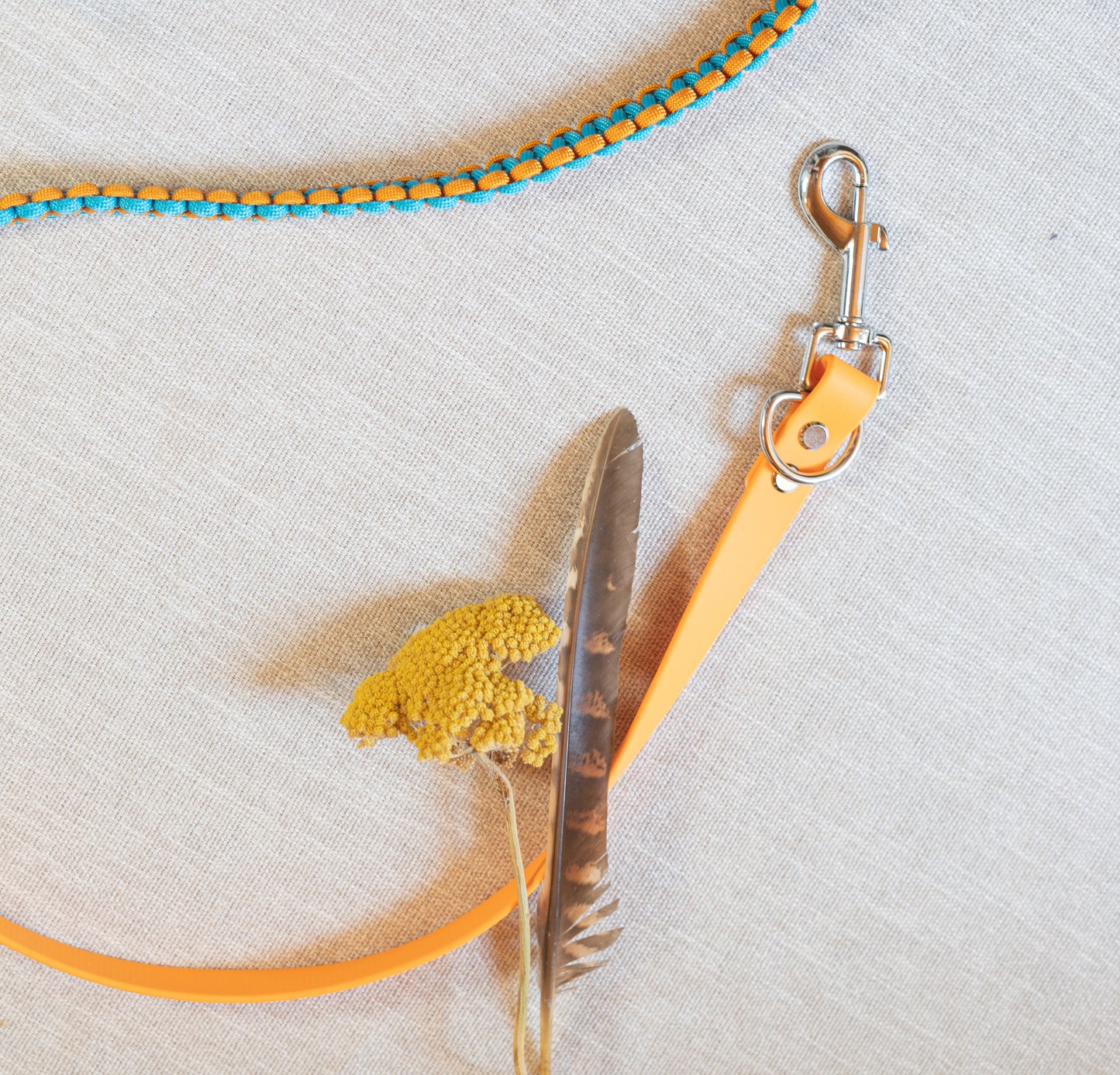 Laisse 3 points - Cerulean & Royal Orange