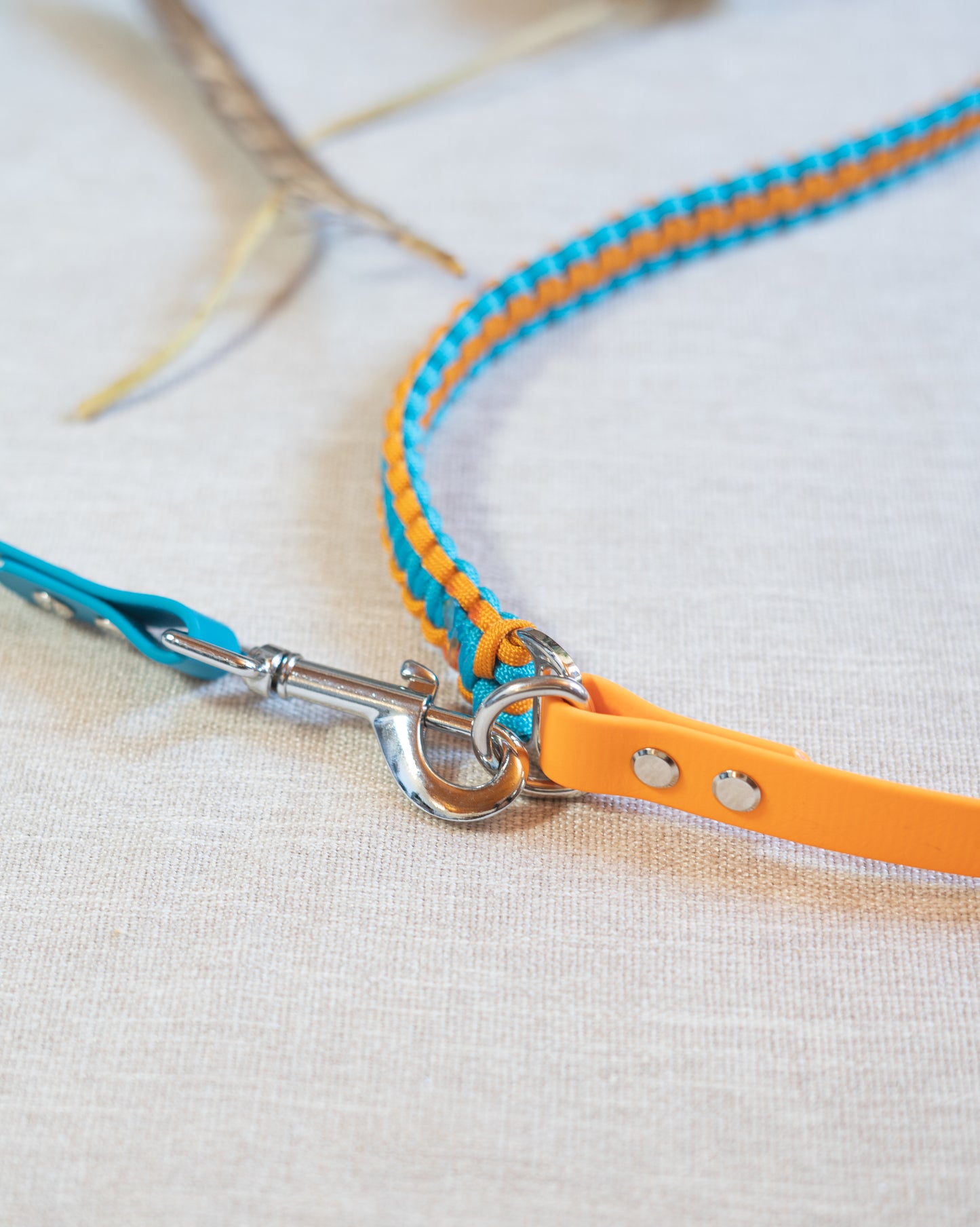 Laisse 3 points - Cerulean & Royal Orange