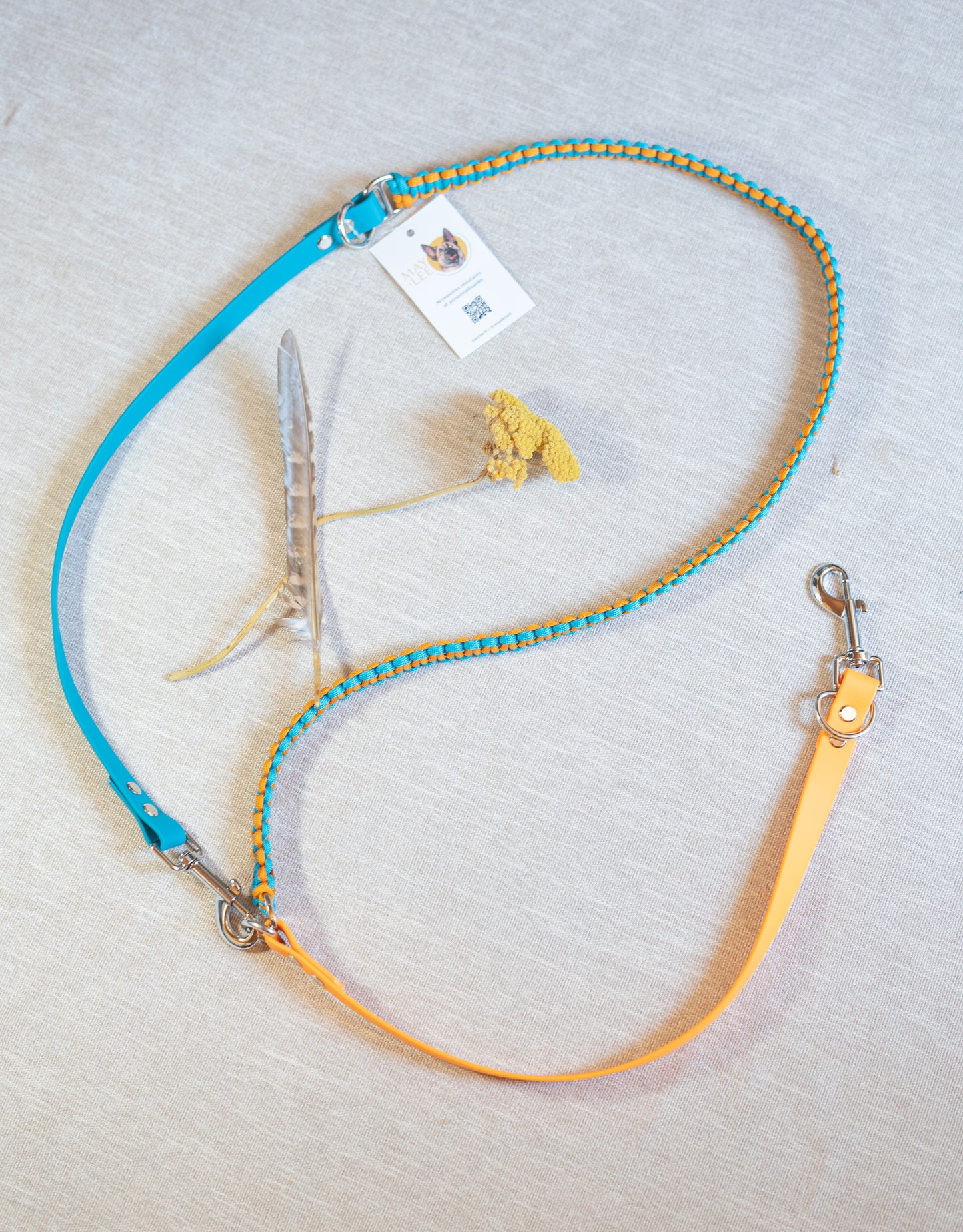 Laisse 3 points - Cerulean & Royal Orange