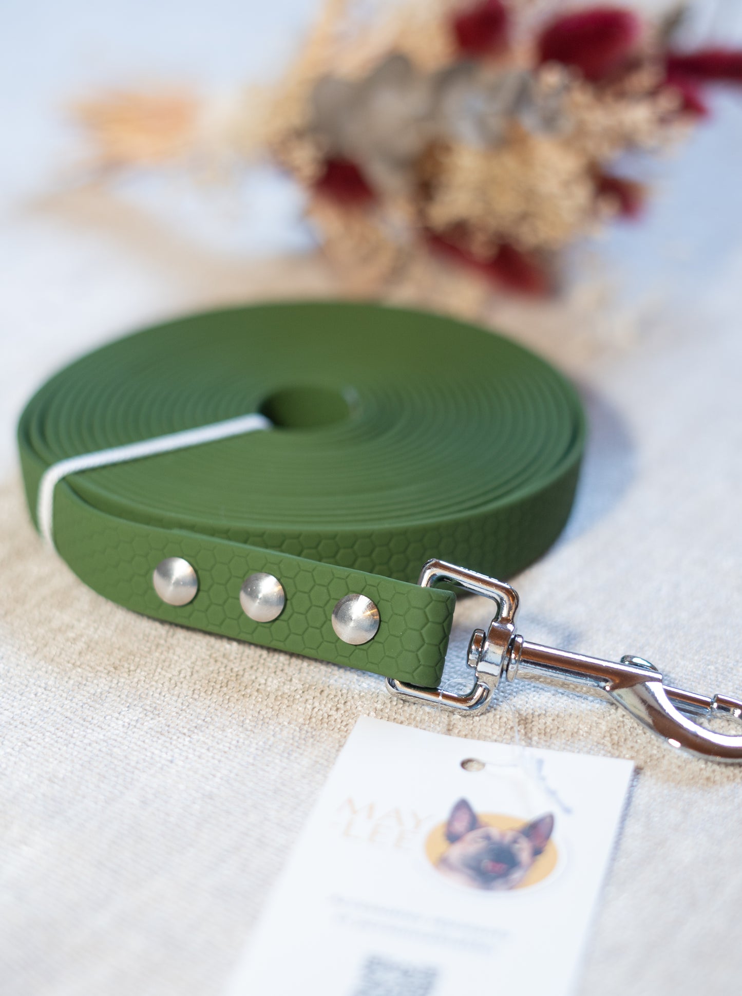 Longe de balade 5m - Sangle HEXA Vert Olive