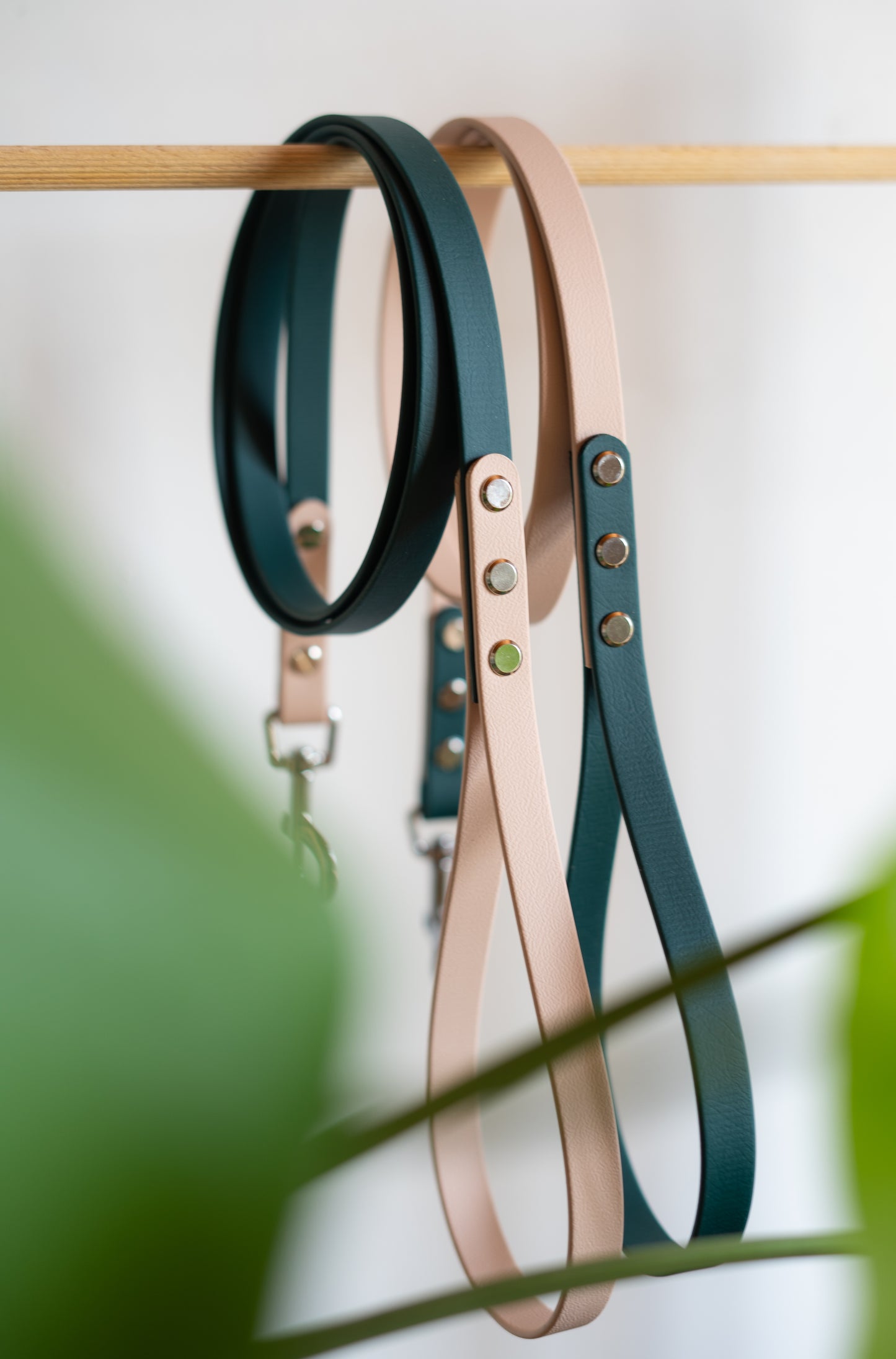 Jolies laisses sobres, solides pour promener son chien avec style 