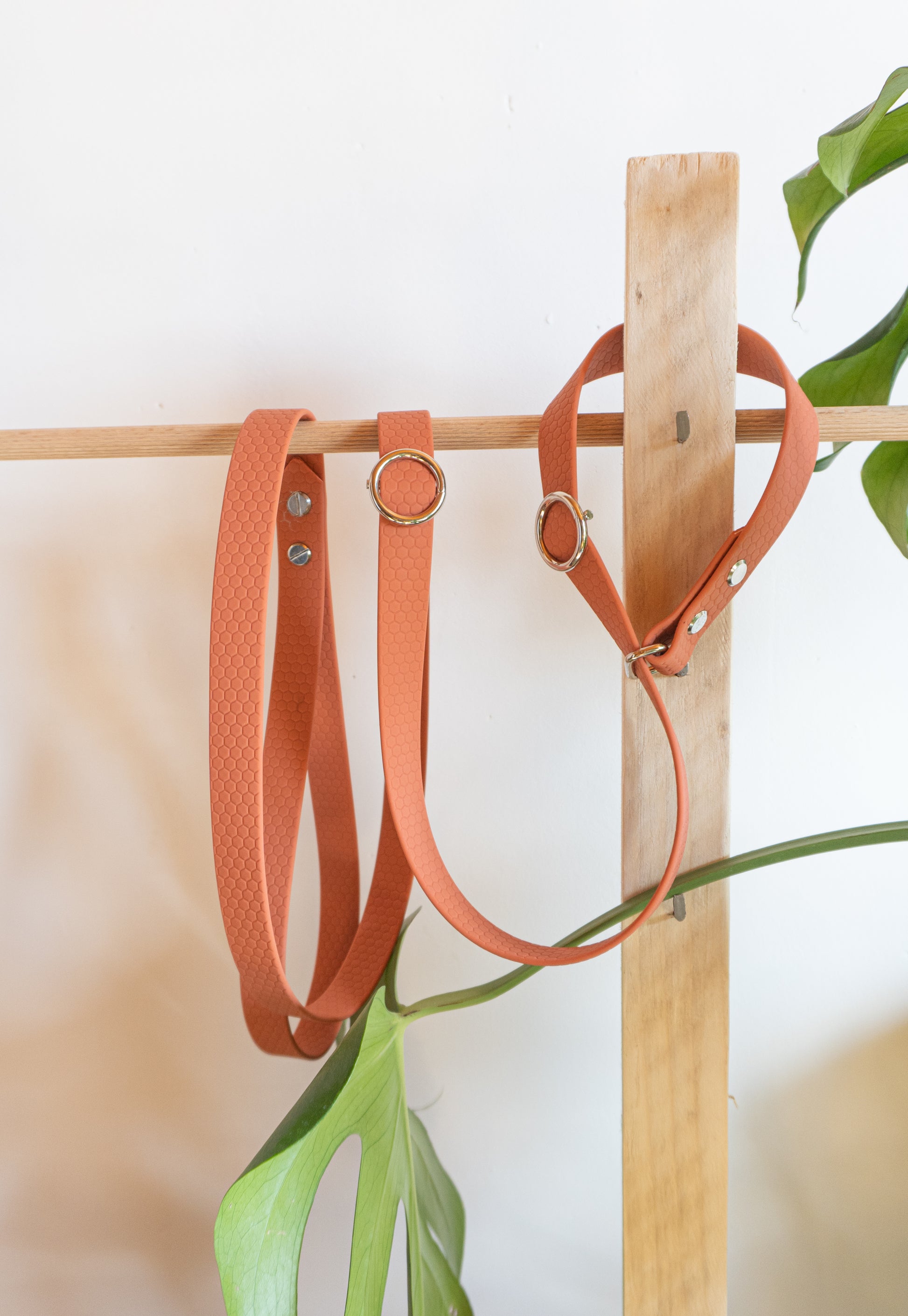 Laisse pour chien de ville pratique et rapide à mettre en hexa, texture grippe agréable en main et solide 