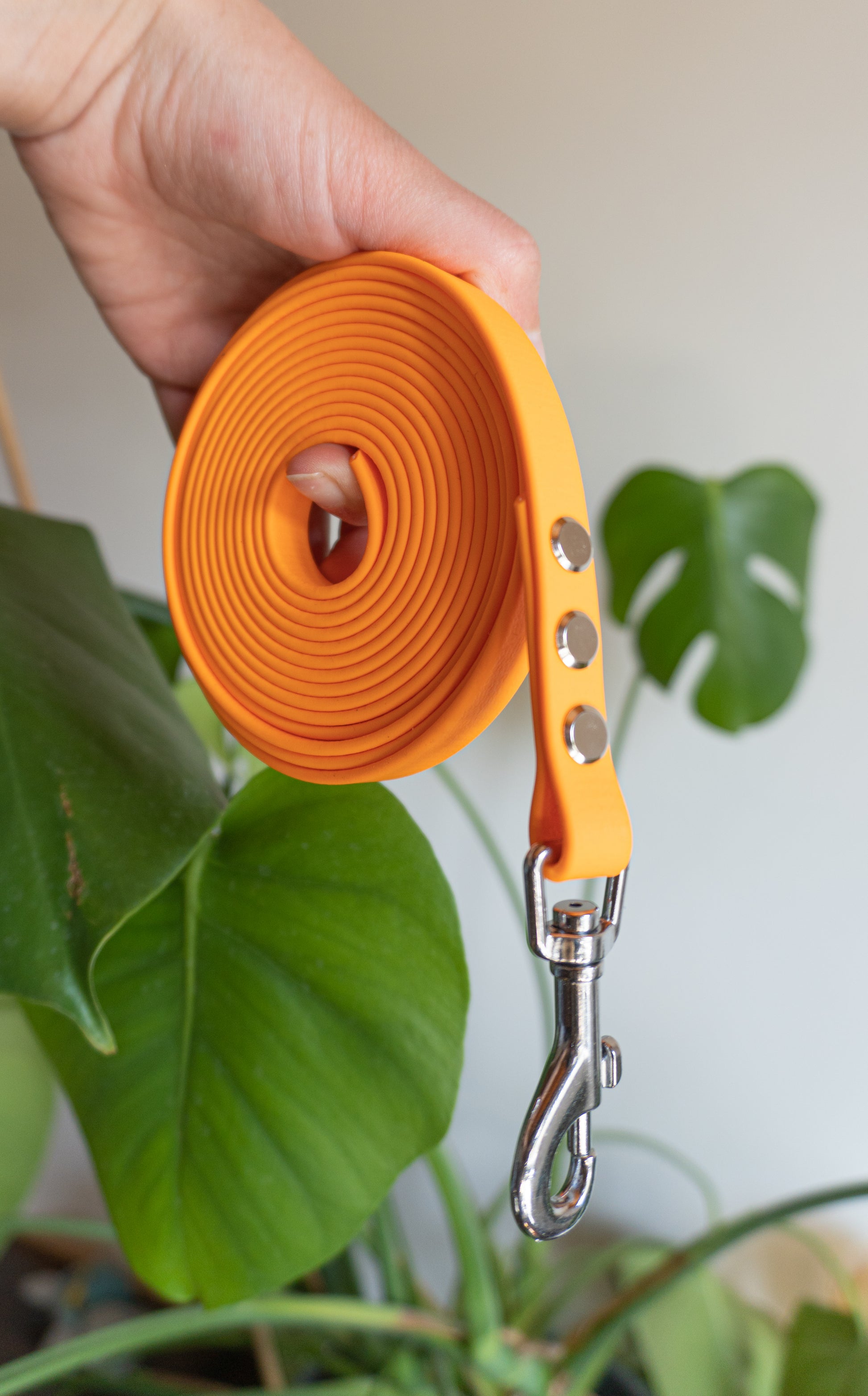 Grande laisse pour balade en pleine nature et en toute sécurité, parfait pour travailler le rappel de toutou 