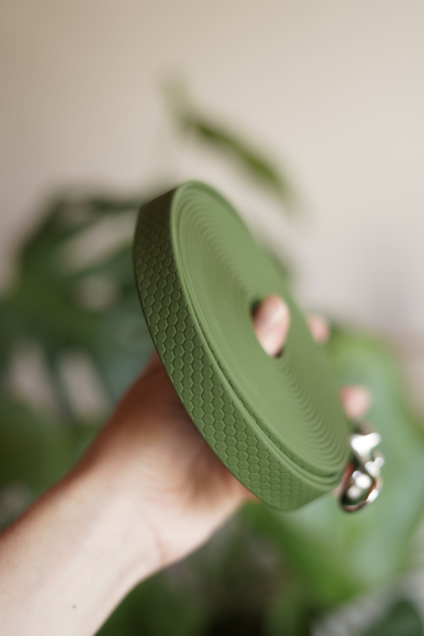 Longe en biothane exa pour promenade de chien, éducation en toute sécurité 