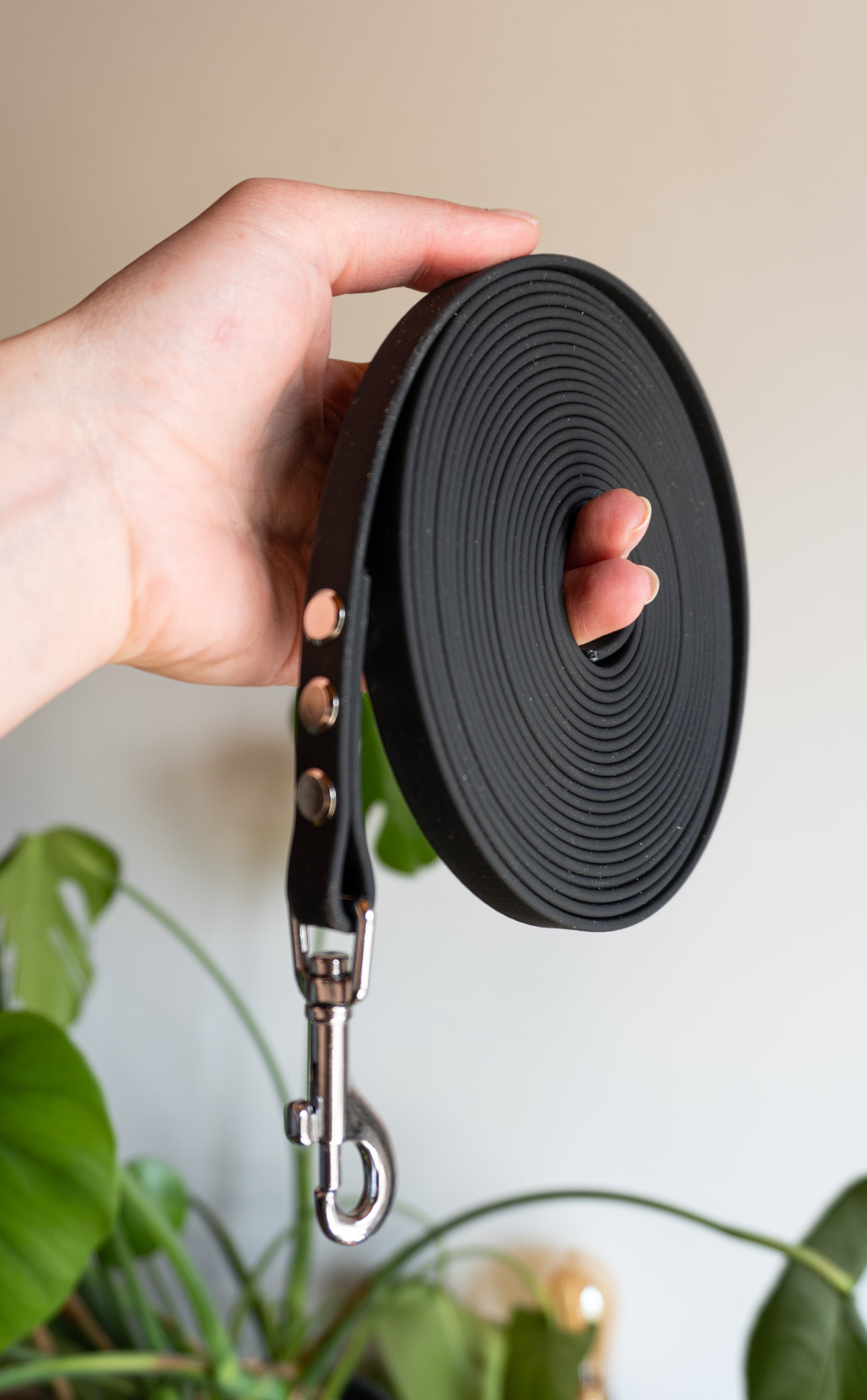 Accessoire biothane solide et léger pour randonnée, balade de chiens, pratique et résistant 