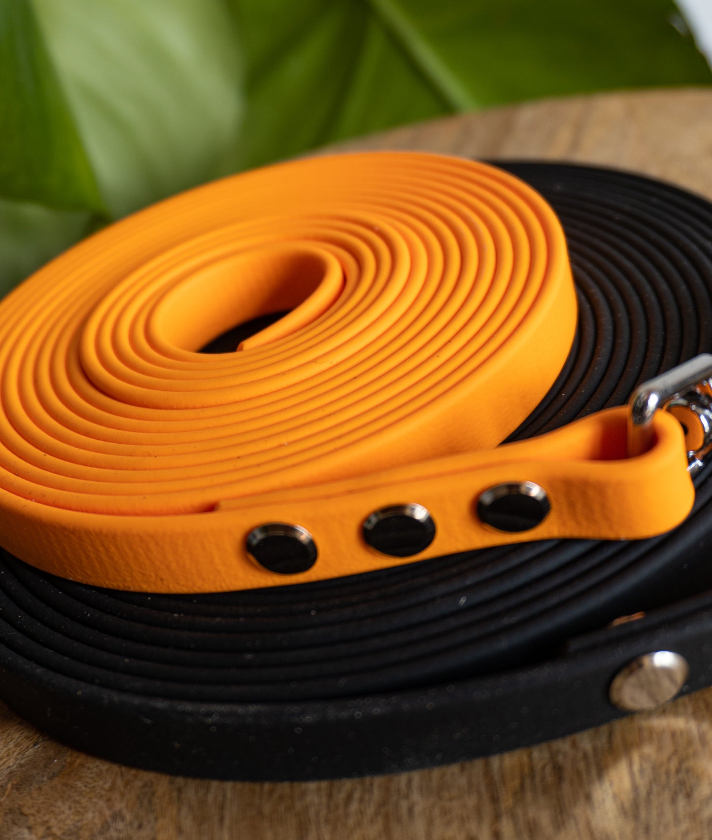 Longes pour balades canines en toute sécurité et pour éducation canine, sur mesure, facile à nettoyer 