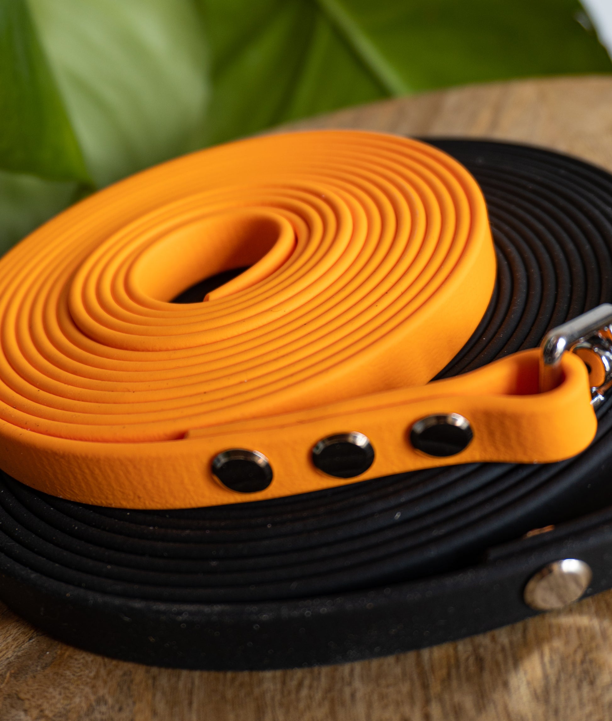 Longes pour balades canines en toute sécurité et pour éducation canine, sur mesure, facile à nettoyer 