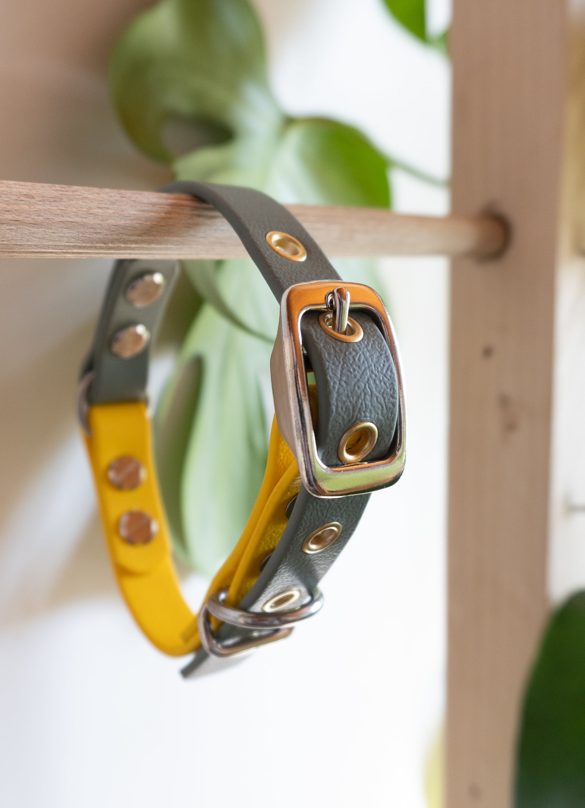 Mignon petit collier chien de petite taille, deux couleurs au choix, sur-mesure et résistant 