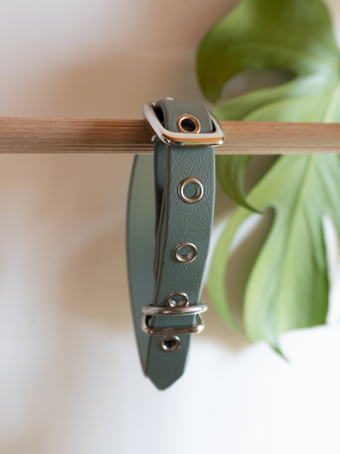 Accessoire résistant pour petit chien, petite taille, à personnaliser, résistant, facile à laver, sans odeur 