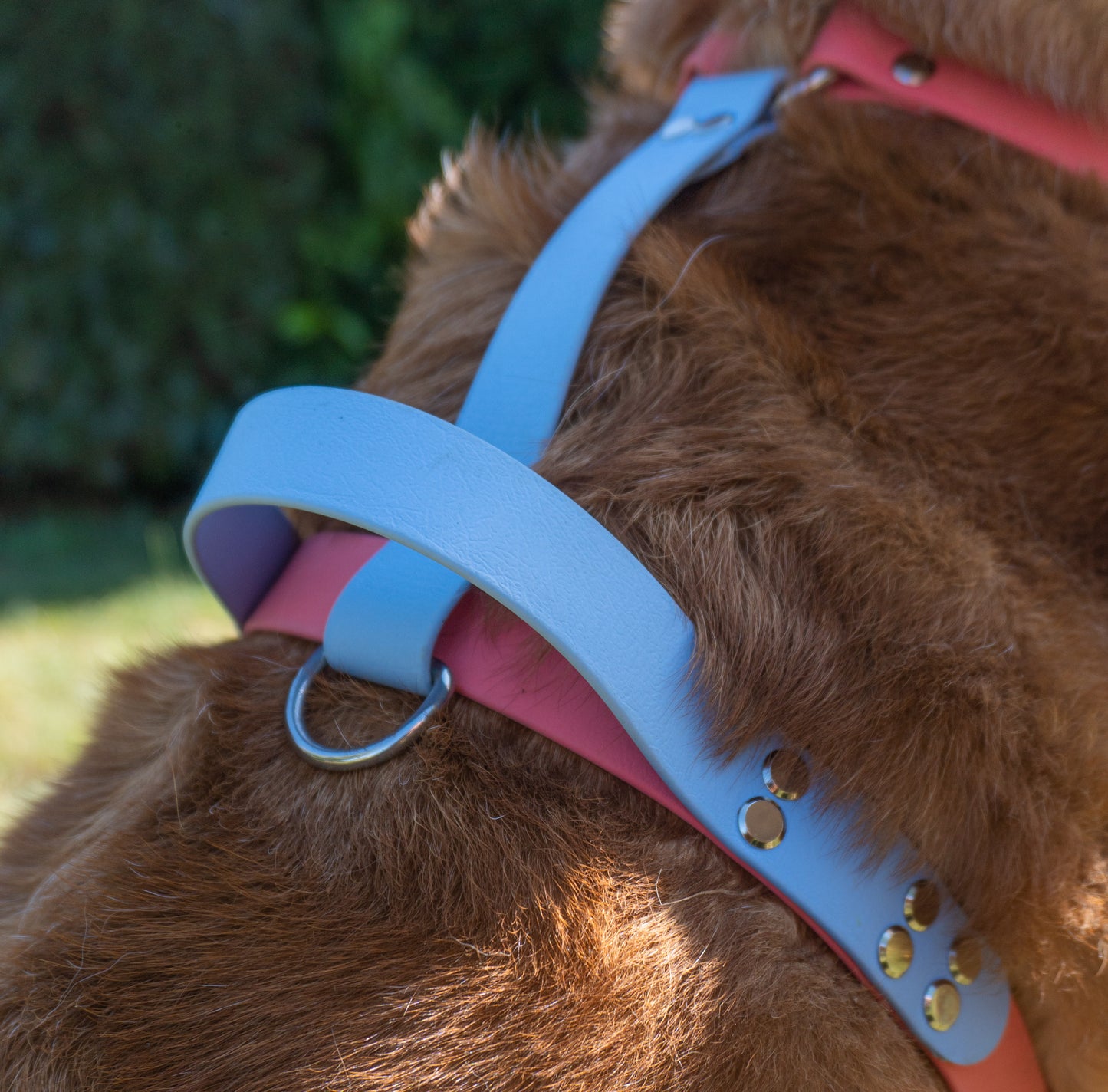 Détail harnais pour chien biothane, poignée de sécurité solide, facile à laver