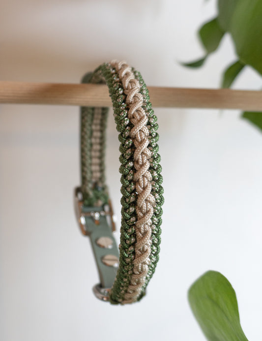 Magnifique collier pour petites races, tressé à la main, vert et crème, sur mesure
